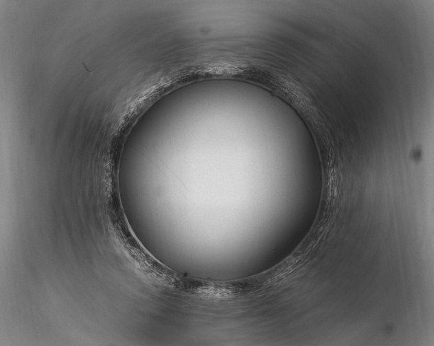 X0000116370354200912161443