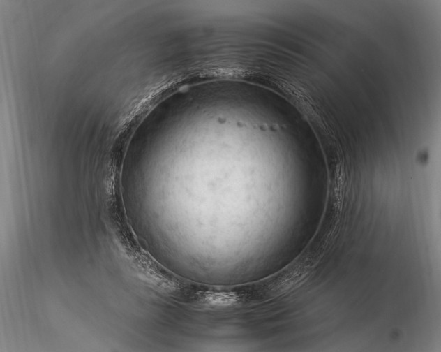 X0000116370355200912161443