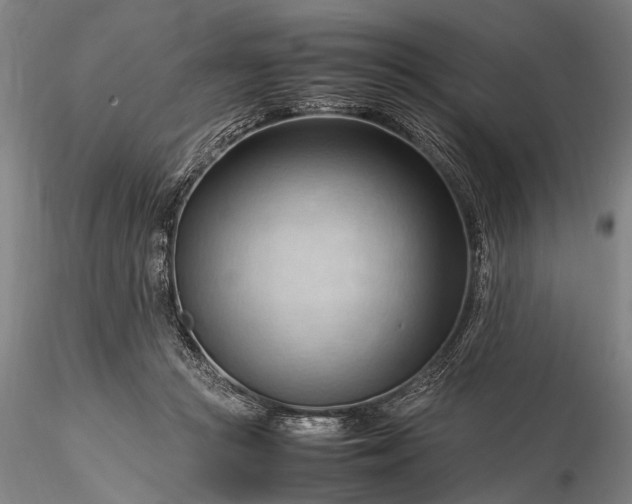 X0000116370361200912161443