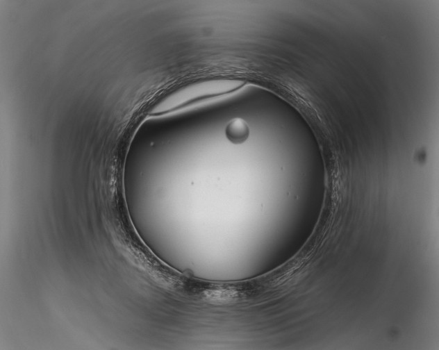 X0000116370362200912161443