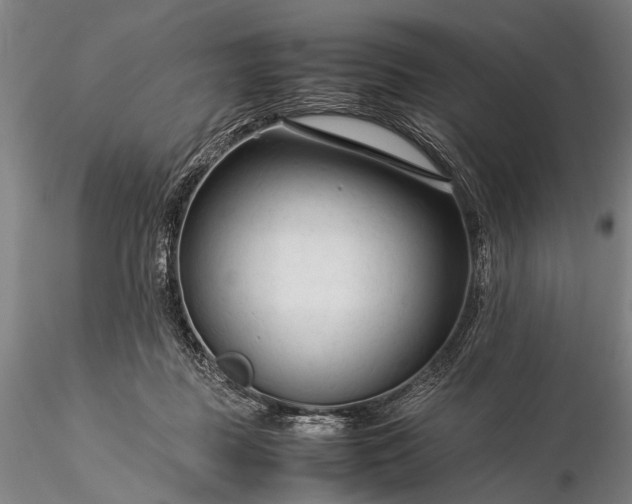 X0000116370363200912161443