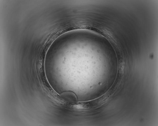 X0000116370365200912161443