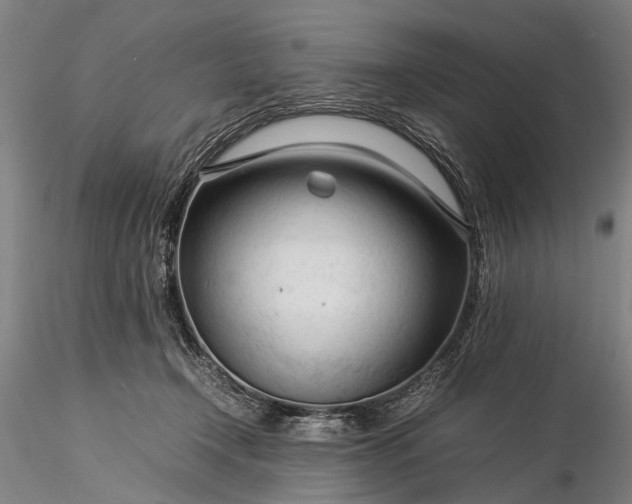 X0000116370366200912161443