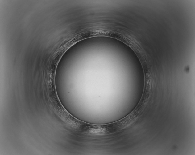 X0000116370369200912161443