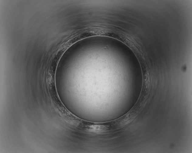 X0000116370371200912161443