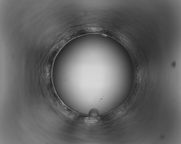 X0000116370373200912161443