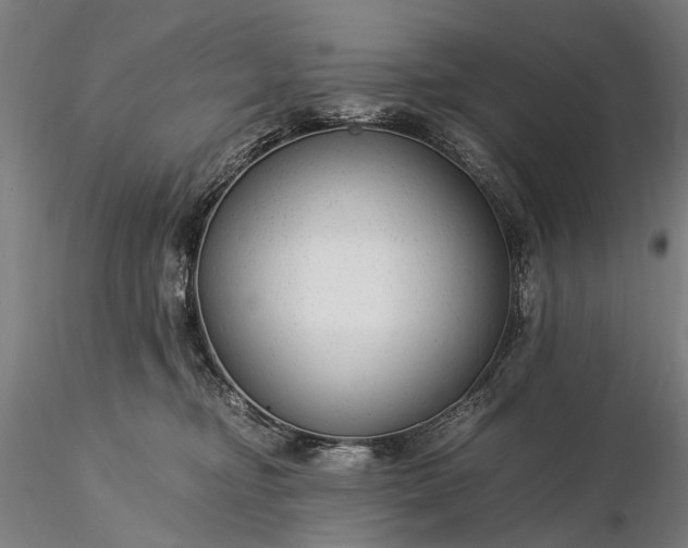 X0000116370374200912161443