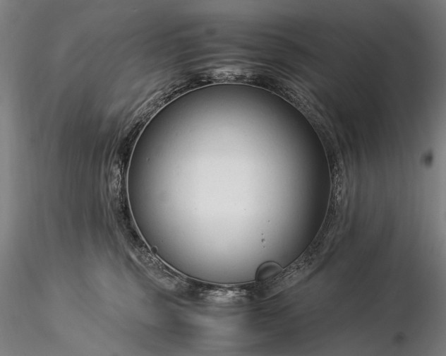 X0000116370375200912161443