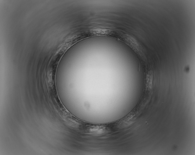 X0000116370377200912161443