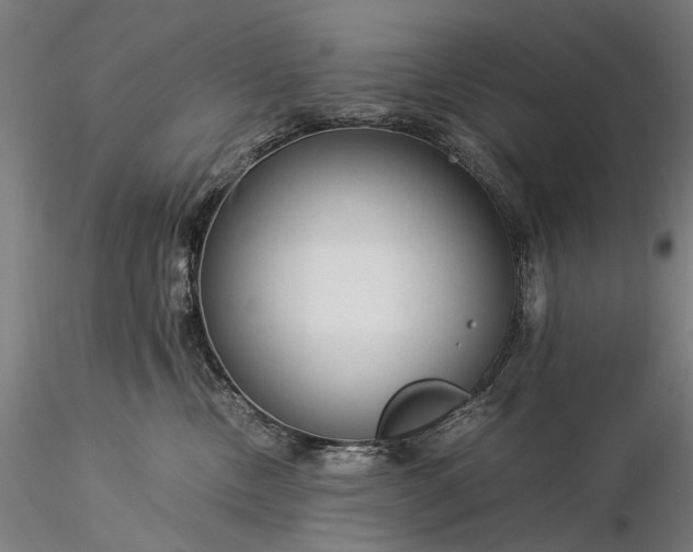 X0000116370378200912161443