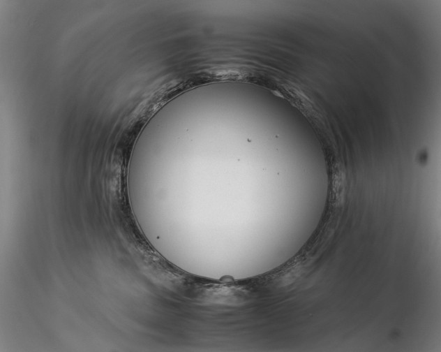 X0000116370379200912161443