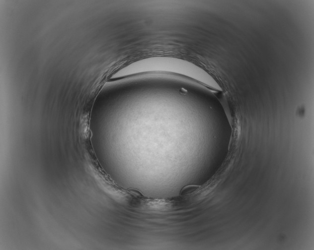 X0000116370383200912161444