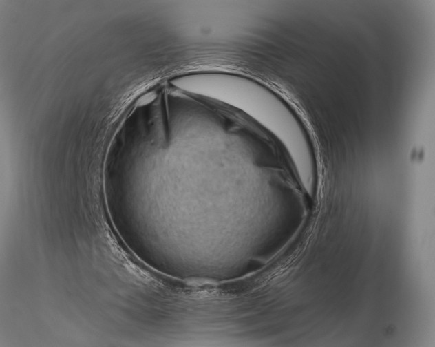 X0000116370385200912161443