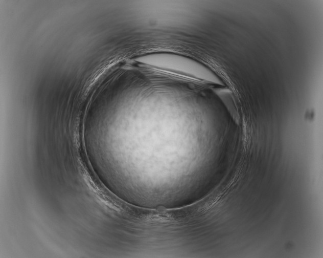 X0000116370386200912161443