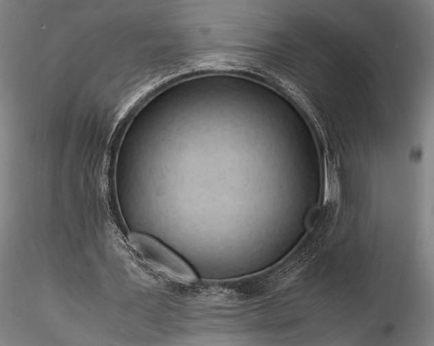 X0000116370387200912161443