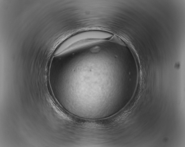 X0000116370389200912161443