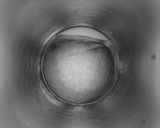 X0000116370390200912161443