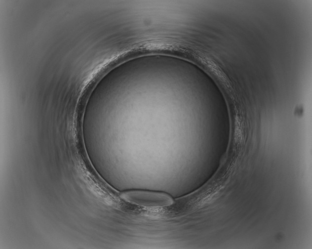 X0000116370391200912161443