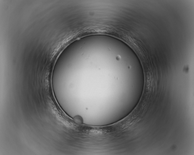 X0000116370394200912161443