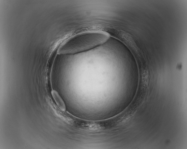 X0000116370395200912161443