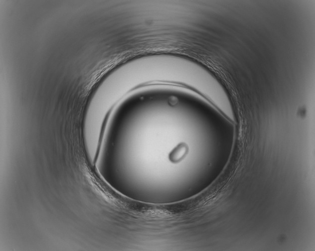 X0000116370397200912161443