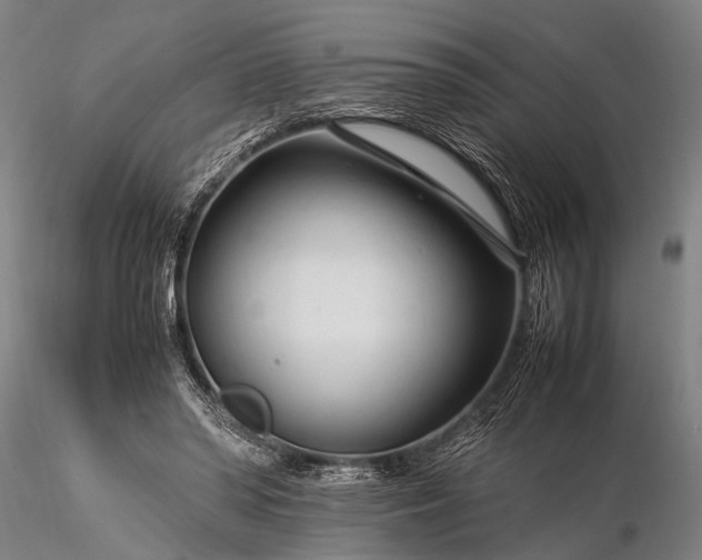 X0000116370398200912161443