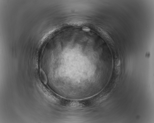 X0000116370399200912161443