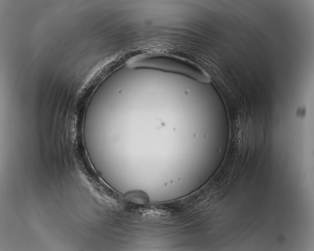 X0000116370400200912161443