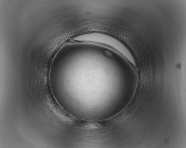 X0000116370402200912161443