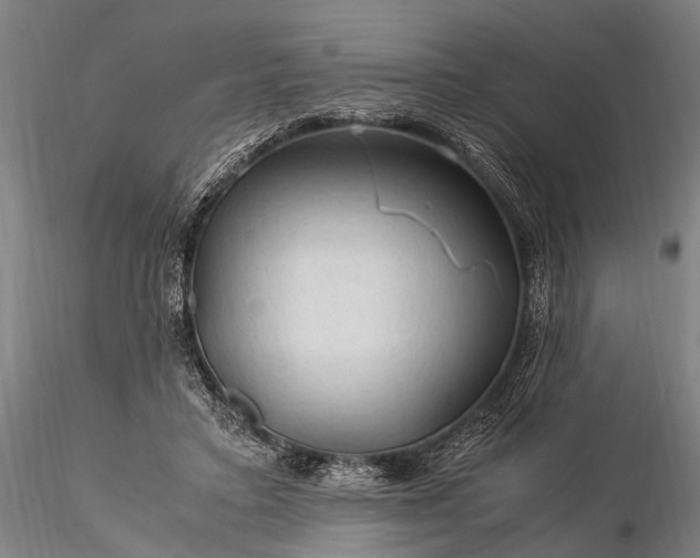 X0000116370403200912161443