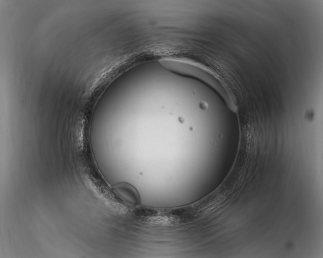 X0000116370404200912161443