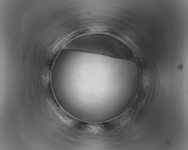 X0000116370405200912161443