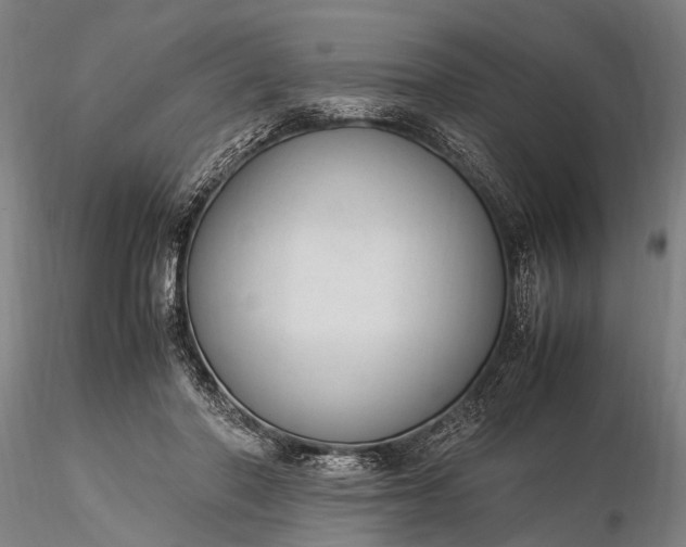 X0000116370406200912161443