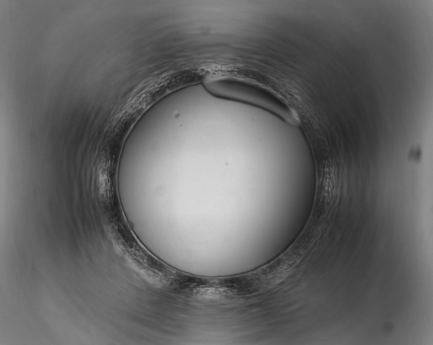 X0000116370408200912161443