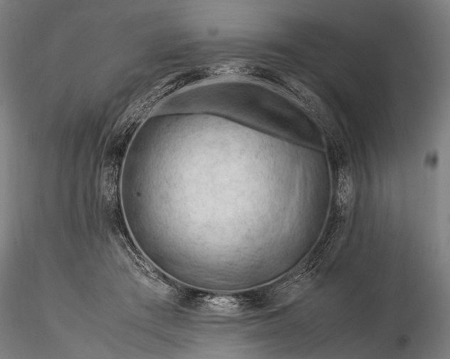 X0000116370409200912161443