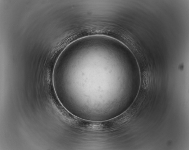 X0000116370410200912161443