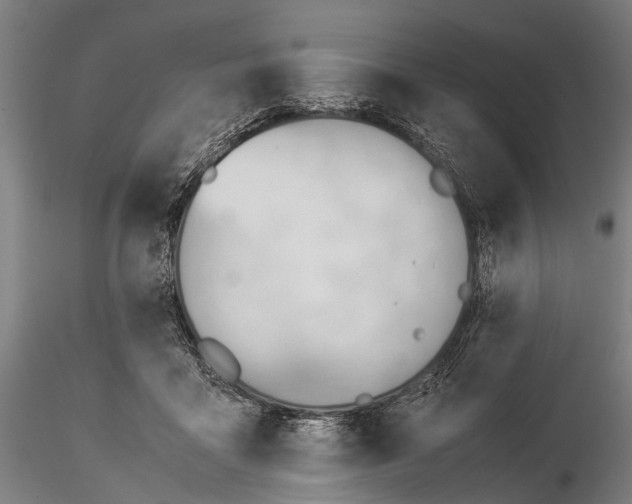 X0000116370411200912161443