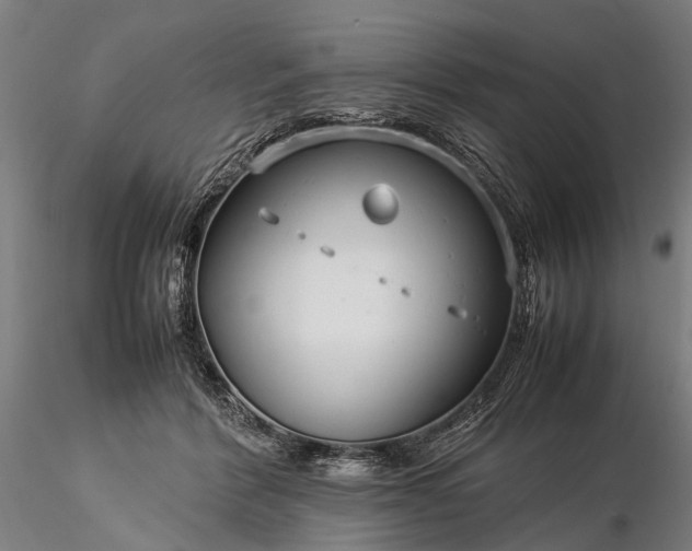 X0000116370412200912161443