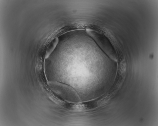 X0000116370413200912161442