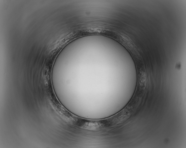 X0000116370414200912161442