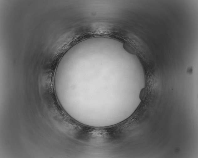 X0000116370415200912161442