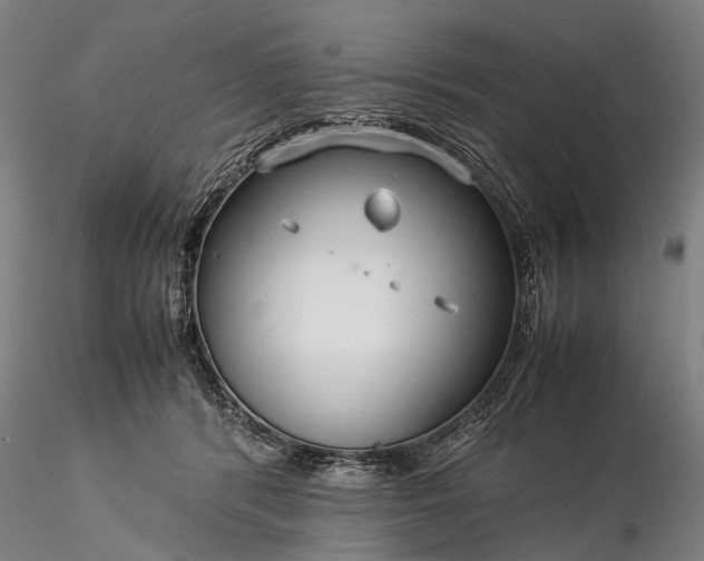 X0000116370416200912161442