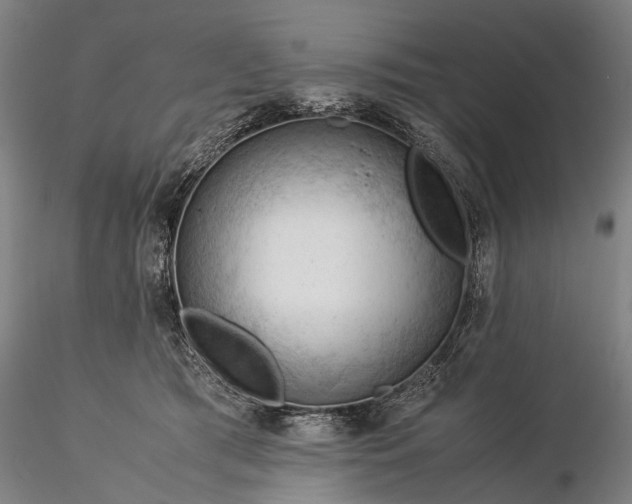 X0000116370417200912161442