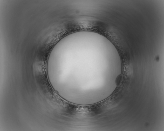 X0000116370419200912161442