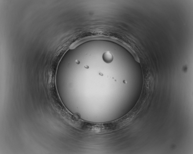 X0000116370420200912161442