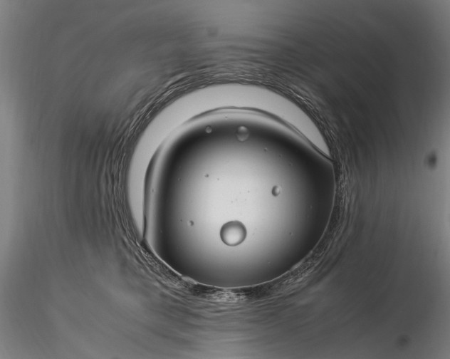 X0000116370421200912161442