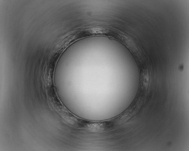 X0000116370422200912161442