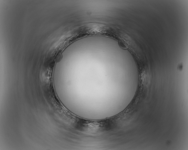 X0000116370423200912161442