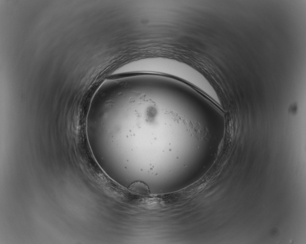 X0000116370424200912161442