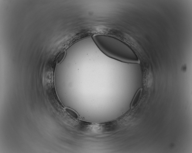 X0000116370425200912161442